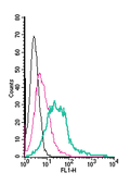 Anti-CXCR4 (extracellular)-FITC Antibody