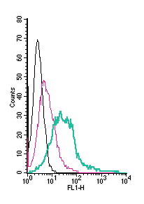 Anti-CXCR4 (extracellular)-FITC Antibody