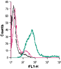 Anti-CRF1/CRHR1 (extracellular)-FITC Antibody