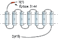 Anti-CRF1/CRHR1 (extracellular) Antibody