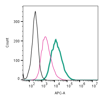 Anti-CX3CR1 (extracellular)-APC Antibody