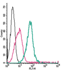 Anti-CRLR/CALCRL (extracellular)-FITC Antibody