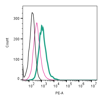 Anti-CRLR/CALCRL (extracellular)-PE Antibody