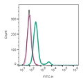 Anti-CCR2 (extracellular)-FITC Antibody