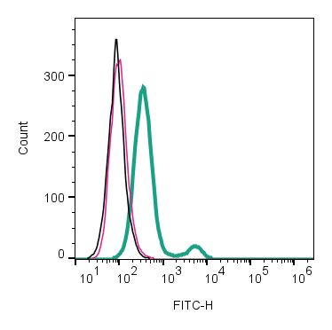 Anti-CCR2 (extracellular)-FITC Antibody