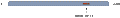 Anti-CaBP1 Antibody