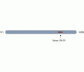 CaBP1 Blocking Peptide