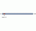 CaBP2 Blocking Peptide