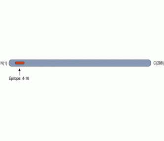 CaBP2 Blocking Peptide