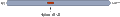Anti-CaBP4 Antibody
