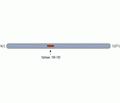 CaBP4 Blocking Peptide