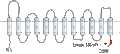 Anti-SLC22A1 Antibody
