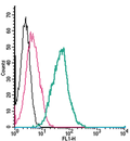 Anti-EphA1 (extracellular)-FITC Antibody