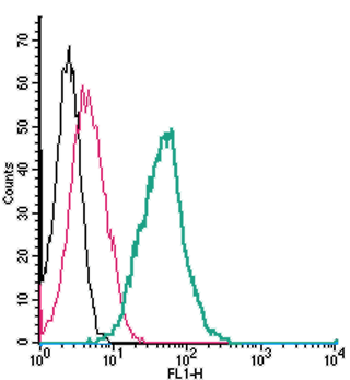 Anti-EphA1 (extracellular)-FITC Antibody