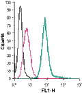 Anti-EMR1 (ADGRE1) (extracellular)-FITC Antibody