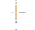 LRRC33 (extracellular) Blocking Peptide