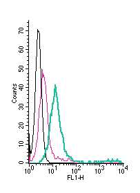Anti-GABA(A) α1 Receptor (extracellular)-FITC Antibody