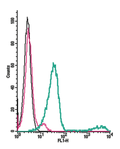 Anti-GABA(B) Receptor 1 (extracellular)-FITC Antibody