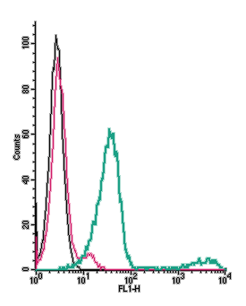 Anti-GABA(B) Receptor 1 (extracellular)-FITC Antibody