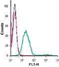 Anti-mGluR5 (extracellular)-FITC Antibody