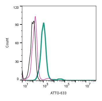 Anti-EAAT2 (GLT-1) (extracellular)-ATTO Fluor-633 Antibody