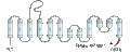Anti-EAAT3 (EAAC1) Antibody