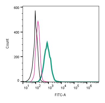 Anti-GLP1R (extracellular)-FITC Antibody