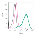 Anti-GLP1R (extracellular)-PE Antibody