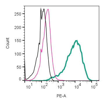 Anti-GLP1R (extracellular)-PE Antibody