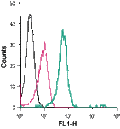 Anti-Ghrelin Receptor (GHSR) (extracellular)-FITC Antibody