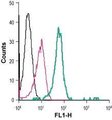 Anti-Ghrelin Receptor (GHSR) (extracellular)-FITC Antibody
