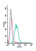 Anti-GPR4 (extracellular)-FITC Antibody