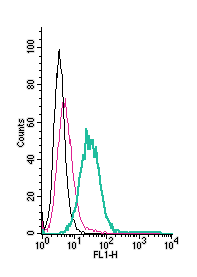 Anti-GPR4 (extracellular)-FITC Antibody