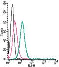 Anti-GPR68 (OGR1) (extracellular)-FITC Antibody