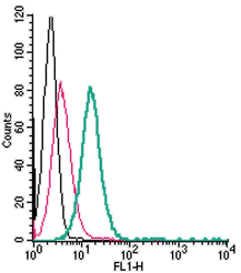 Anti-GPR68 (OGR1) (extracellular)-FITC Antibody