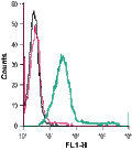 Anti-GPR65 (TDAG8) (extracellular)-FITC Antibody
