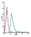 Anti-Human GPR132/G2A (extracellular)-FITC Antibody