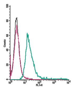 Anti-Human GPR132/G2A (extracellular)-FITC Antibody