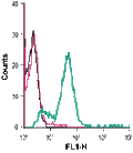 Anti-GPR56 (extracellular)-FITC Antibody
