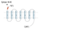 Anti-GPR37L1 (extracellular) Antibody