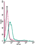 Anti-GPR35 (extracellular)-FITC Antibody