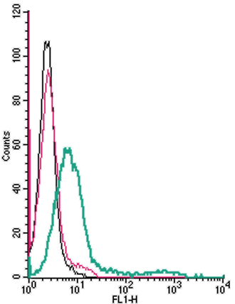 Anti-GPR35 (extracellular)-FITC Antibody