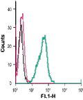 Anti-GPR84 (extracellular)-FITC Antibody