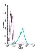 Anti-GPR84 (extracellular)-PE Antibody
