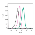 Anti-GPR171 (extracellular)-PE Antibody