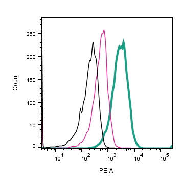 Anti-GPR171 (extracellular)-PE Antibody
