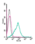 Anti-GPR174 (extracellular)-FITC Antibody