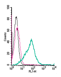 Anti-GPR174 (extracellular)-FITC Antibody