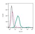 Anti-GPR183 (extracellular)-FITC Antibody