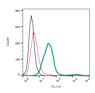 Anti-GPR183 (extracellular)-FITC Antibody
